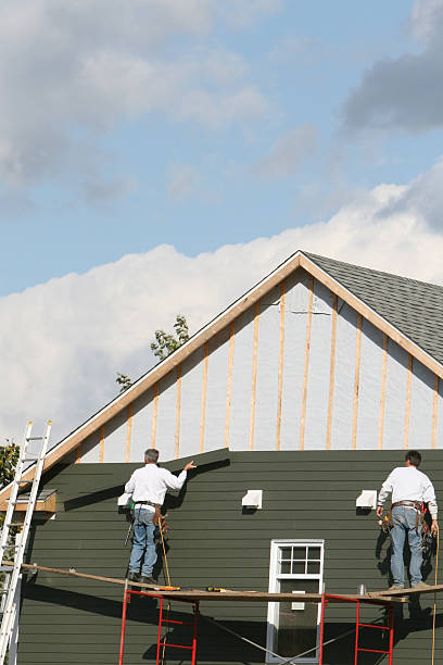 Best Custom Siding Design  in USA